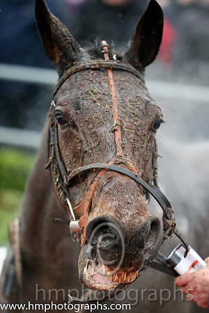 01st Marito (GER) ( 4 , white and red qtrd ) and N. McParlan (5) - Trainer : C.A.McBratney - Owner : James Marley