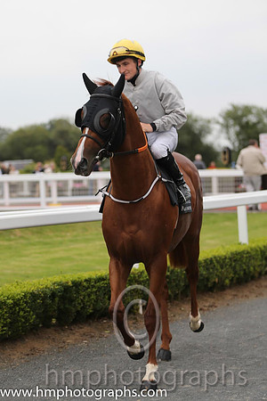 06th Compass Hill (USA) ( 1 , grey, yellow cap ) and S. Foley - Trainer : John Joseph Murphy - Owner : Armada Racing Partnership