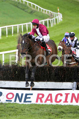 Metal Master, 5th, Jockey - L P Flynn -  FT8E3101-e