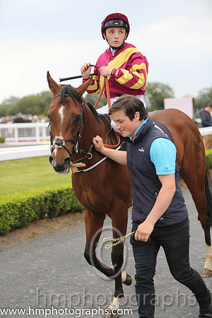 08th Helen's Armada ( 4 , maroon, yellow sash ) and C.D. Hayes - Trainer : Adrian McGuinness - Owner : Ms. Hazel McGuinness