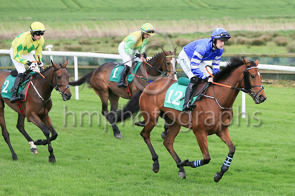 11 Signora Di Milano (12 ,royal blue,oyal blue and white hooped sleeves ), Jockey - P M O'Brien ,Trainer - W Durkan