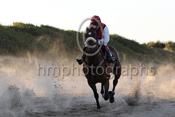 08 Academic Accolade & Mr D L Queally - 8th (1,black , red chevron ) - FT8E1150-53