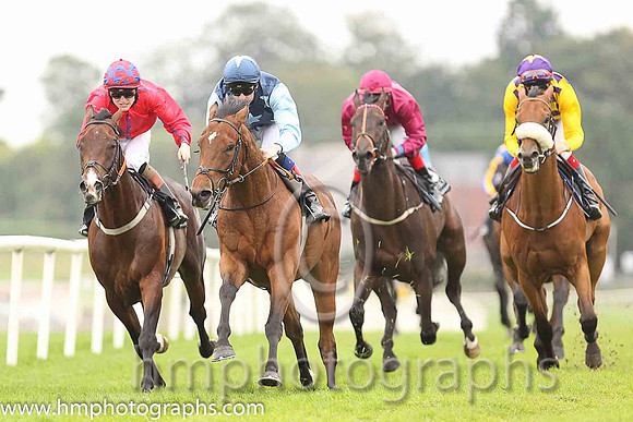 01st Downforce ( 2 , dark blue, light blue stars ) and D.P. McDonogh - Trainer : W. McCreery - Owner : Mrs A.M. Burns