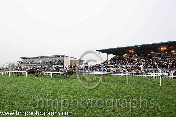 The Bet with the Tote Flat Race at Down Royal on Boxing Day