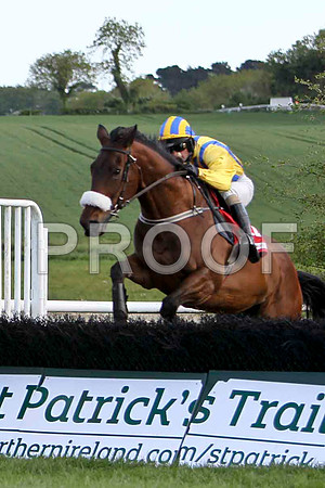 The Boxer Coffey , 11th, Jockey T P Treacy - FT8E2978-e2