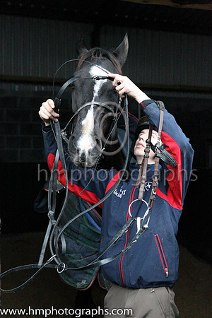 Don Cossack and Bryon Cooper at the Leopardstown  Horse Racing Ireland launch of the Christmas Festival at Gordon Elliot's yard