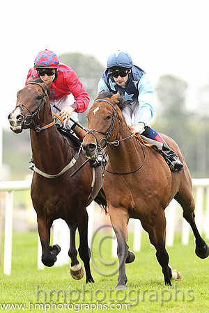 01st Downforce ( 2 , dark blue, light blue stars ) and D.P. McDonogh - Trainer : W. McCreery - Owner : Mrs A.M. Burns