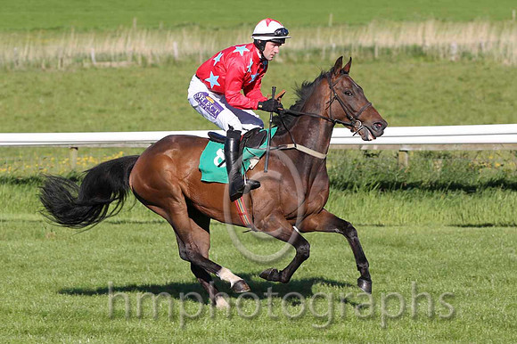 05 Udo's Choice & B T O'Connell - 5th (8, red, light blue stars) - FT8E6038-30
