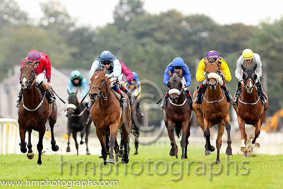 01st Downforce ( 2 , dark blue, light blue stars ) and D.P. McDonogh - Trainer : W. McCreery - Owner : Mrs A.M. Burns