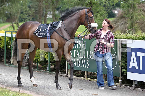 Lady Holly 7th - CU2D0427-e