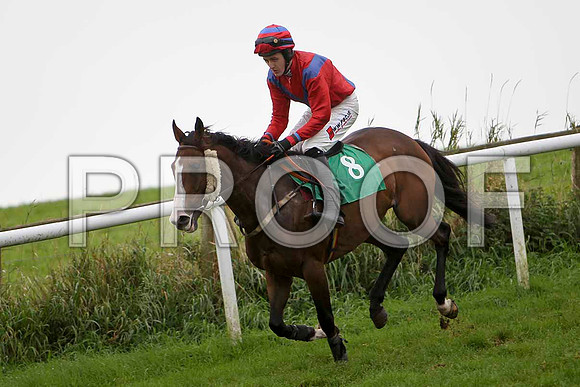Full of Trix , Jockey S W Jackson - 10th - CU2D2281-e