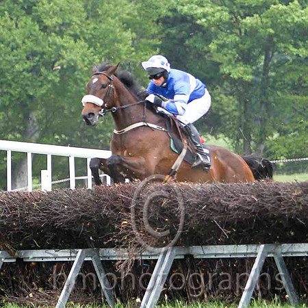 Court In Session , Winner, Jockey J J Codd -FT8E2341-e