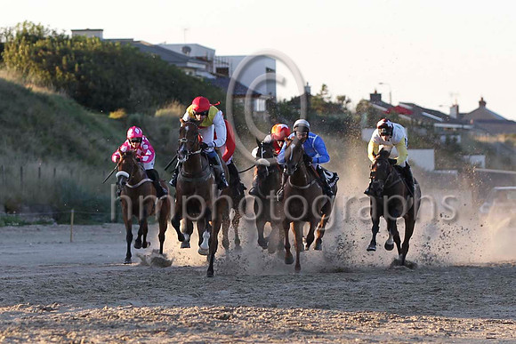 03 Wild China & Mr M Fahey 0 3rd (5,yellow, red disc ) - FT8E1131-36