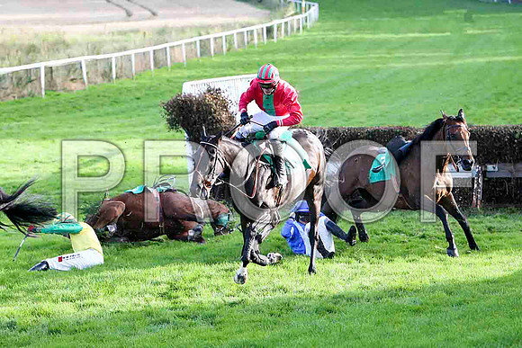 Sir Ejay Jockey S W Jackson on the floor as well as The Real Tyson  - Jockey P Townend - FT8E4911-e2