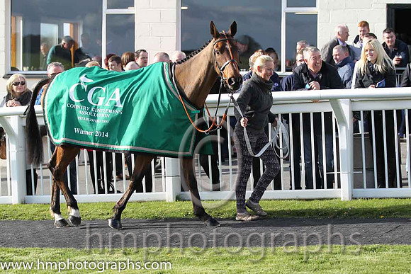 Tammys Hill - winner of the CGA Foxhunter Chase at Cheltenham - FT8E4339-16