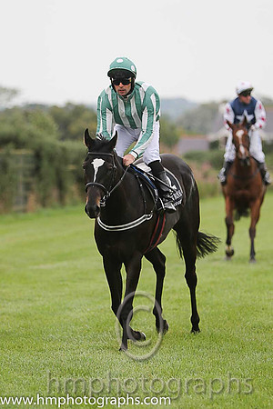 03rd Roc Of Gold ( 12 , dark green and white stripes ) and R.P. Cleary - Trainer : Emmet Mullins - Owner : Mrs. Sandra McCarthy