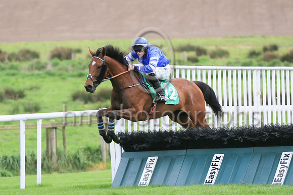 11 Signora Di Milano (12 ,royal blue,oyal blue and white hooped sleeves ), Jockey - P M O'Brien ,Trainer - W Durkan