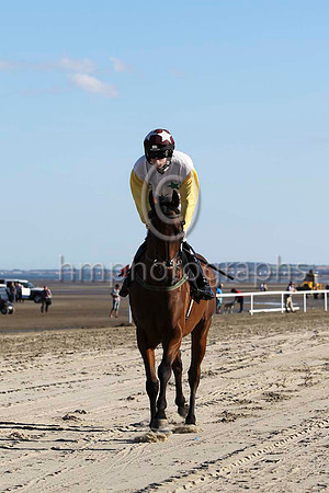 08 Ainm Spartacus & D E Mullins - 8th (1, white, emerald green stars) - FT8E0838-22