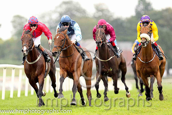 01st Downforce ( 2 , dark blue, light blue stars ) and D.P. McDonogh - Trainer : W. McCreery - Owner : Mrs A.M. Burns