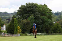 2013/06/22nd - Race 6 The Louis Roederer Handicap (50-80) of 10,000 Euro at Down Royal