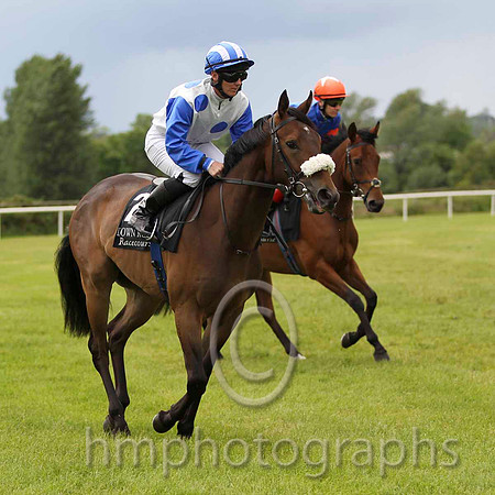 CU2D7958-1