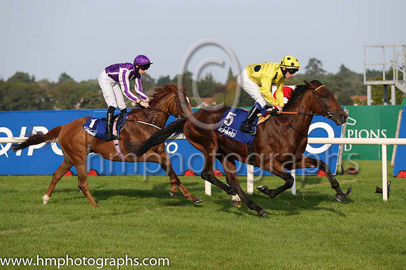 06 Hall of Mirrors and J P O'Brien - - 06th (1 ,purple, white seams ) Trainer - A P O'Brien  05 Qewy and D P McDonogh - - 05th (5 ,yellow, large black spots ) Trainer - J M Oxx