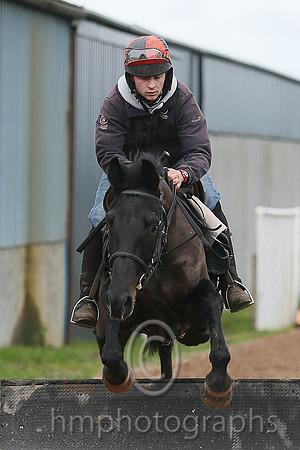 Westerner Filly and Connor Strain - AA1V2734