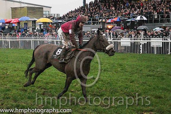 02nd Annihilate ( 8 , maroon, white star ) and N. Carberry - Trainer : Gordon Elliott - Owner :Gigginstown House Stud