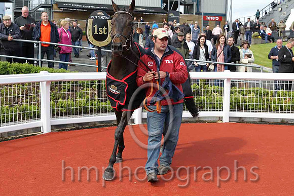 01 Sir Ector & C D hayes - winner (7, pink, dark blue and pink striped cap) - FT8E6355-20