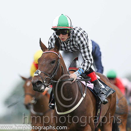 01st Go Kart ( 3 , black  white checks ) and R.P. Downey (5) - Trainer : P.J.Prendergast - Owner : J.P.M.O'Connor