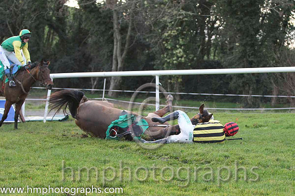 10 FergieTheLegend & Mr J P McKeown - Fell (4, black and yellow stripes ) - FT8E1483-25