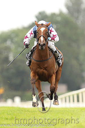 02nd Remarkable Lady ( 11 , dark blue, white star ) and D.M. Grant - Trainer : H.Rogers - Owner : Nap Racing Syndicate