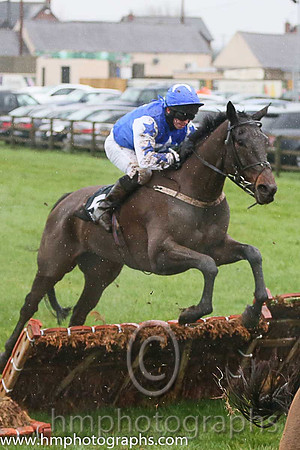 07th Del Mundo ( 5 , royal blue, white star ) and M.W. Bowes (5) - Trainer : Lady Jane Gillespie - Owner : Mrs Catherine Bowes