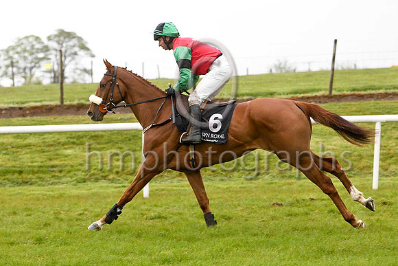 Beachdale Lad (6, red, emerald green star) & T P Treacy - 2nd - FT8E2822-e