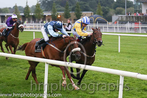 01st dh Whiteout (GER) ( 5 , yellow  royal blue stripes ) and D.P. McDonogh - Trainer : W.P. Mullins - Owner : D.Lawlor  01st dh He'llberemembered ( 6 , dark blue, light blue stars ) and T.P. Madden (
