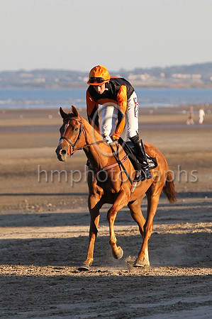 10 Tohugo & Mr P W Mullins - 10th (4, black, orange disc) - FT8E1084-13