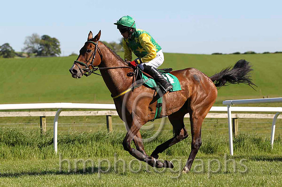 14 Murphys Friend & D J Condon - 14th (14, emerald green, yellow stars) - FT8E5956-8