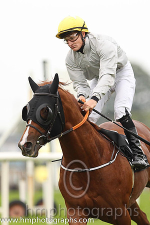 06th Compass Hill (USA) ( 1 , grey, yellow cap ) and S. Foley - Trainer : John Joseph Murphy - Owner : Armada Racing Partnership