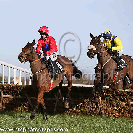06 Rock On Westie ( 8 , red, royal blue star ) and R. Loughran - Trainer : Miss Suzy Barkley - Owner : Paul Hobson
