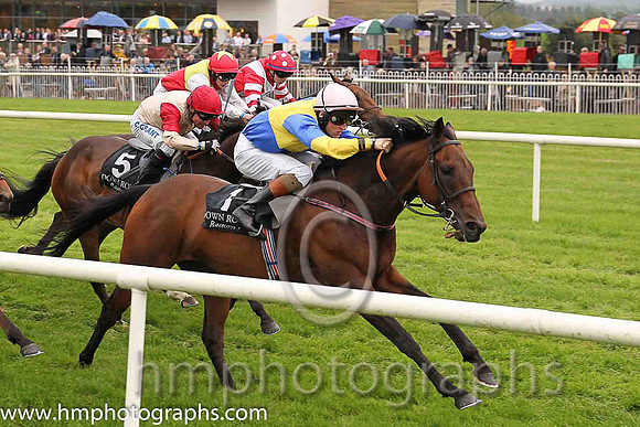 01st Knights Templar ( 1 , royal blue, yellow qtrd ) and G.P. Halpin (5) - Trainer : Patrick J.Flynn - Owner : S.P. Girvan