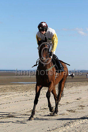 08 Ainm Spartacus & D E Mullins - 8th (1, white, emerald green stars) - FT8E0840-24