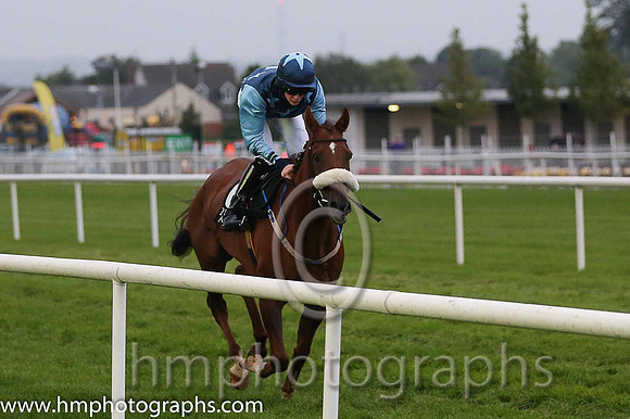 01st dh He'llberemembered ( 6 , dark blue, light blue stars ) and T.P. Madden (5) - Trainer : P.G. Fahey - Owner : Mrs Mary Lett/P.G. Fahey