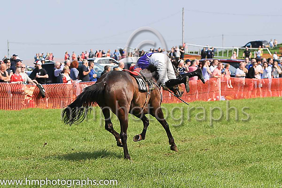 TULLYORIOR and R A Devine ( 10 , PURPLE; white sleeves; red cap,white star ) Trainer: Catherine Barry , Owner : Catherine Barry