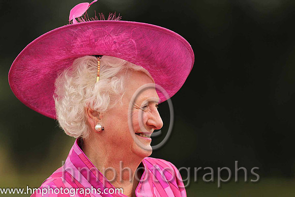 Dame Mary Peters - Lord Lieutenant of Belfast at Down Royal