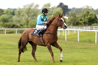 2013/06/22nd - Race 1 The Taste @Downroyal Handicap (50-80) of 10,000 Euro at Down Royal