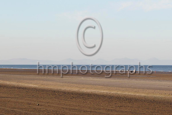 Laytown Races - FT8E1116-31