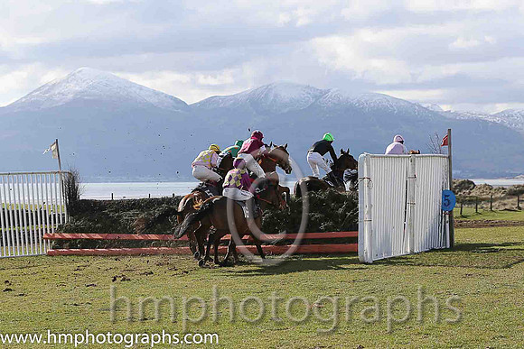 Point to Point racing at Tyrella in the shadow of the Mourne Mountains