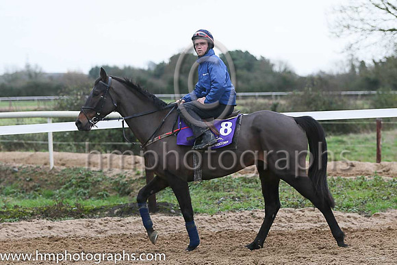 No More Heroes and John Winston at the Leopardstown  Horse Racing Ireland launch of the Christmas Festival at Gordon Elliot's yard