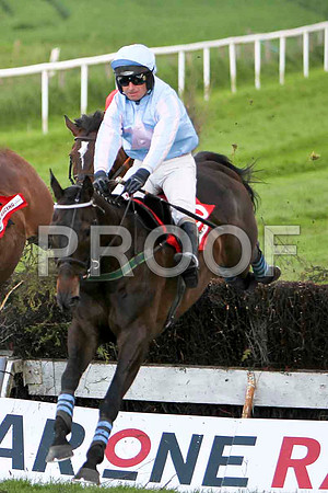 Mr Springer , Winner , Jockey - T P Treacy -FT8E3112-e3
