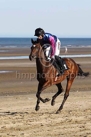 04 Strait of Zanzibar & Mr P W Mullins - 4th (1,royal blue and black chevrons ) - FT8E0904-5